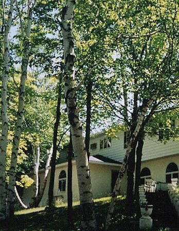 White Birch Inn Sturgeon Bay Buitenkant foto